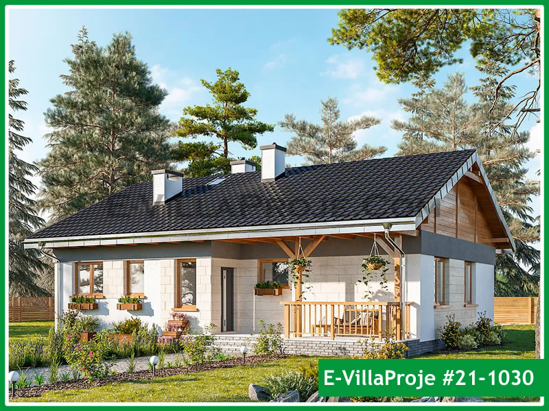 Ev Villa Proje #21 - 1030 Ana Görsel