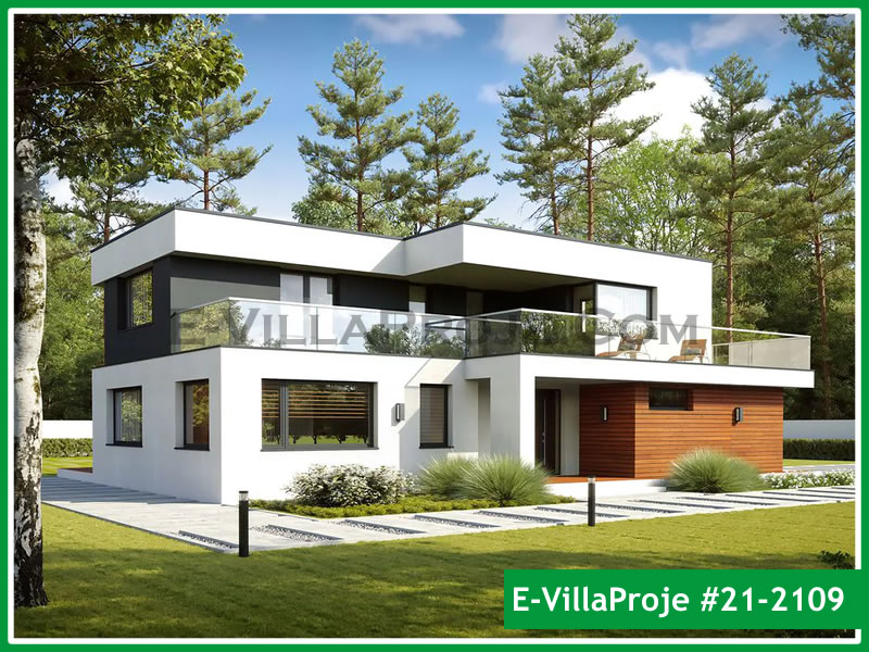 Ev Villa Proje #21 - 2109 Ana Görsel