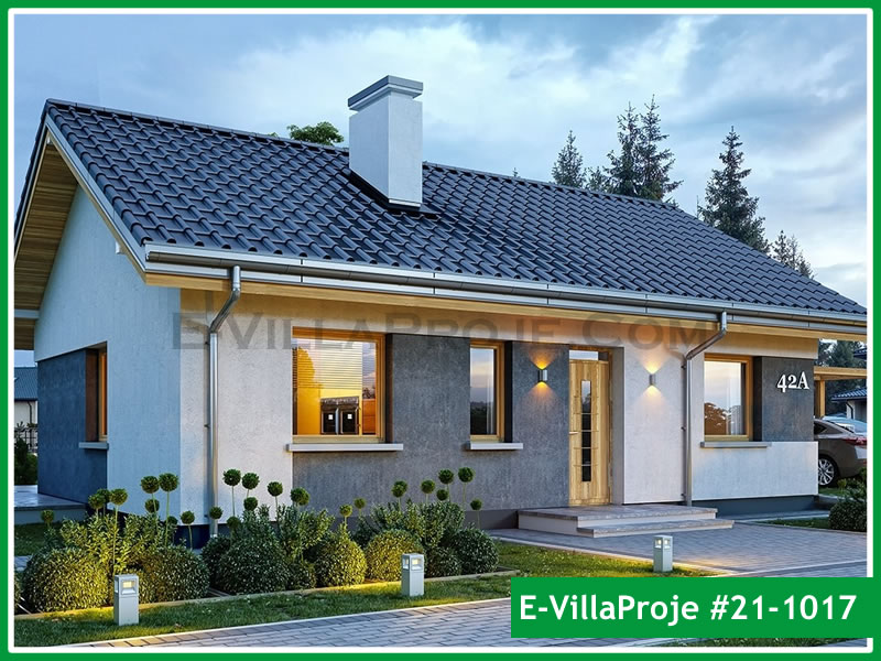 Ev Villa Proje #21 - 1017 Ana Görsel